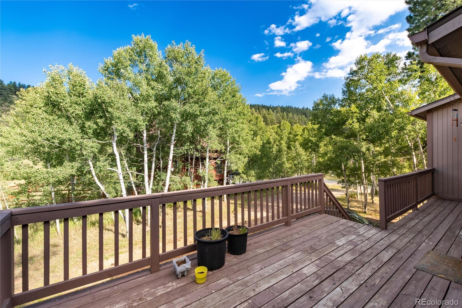 65 Silver Springs Road Bailey CO 80421