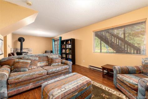 65 Silver Springs Road Bailey CO 80421