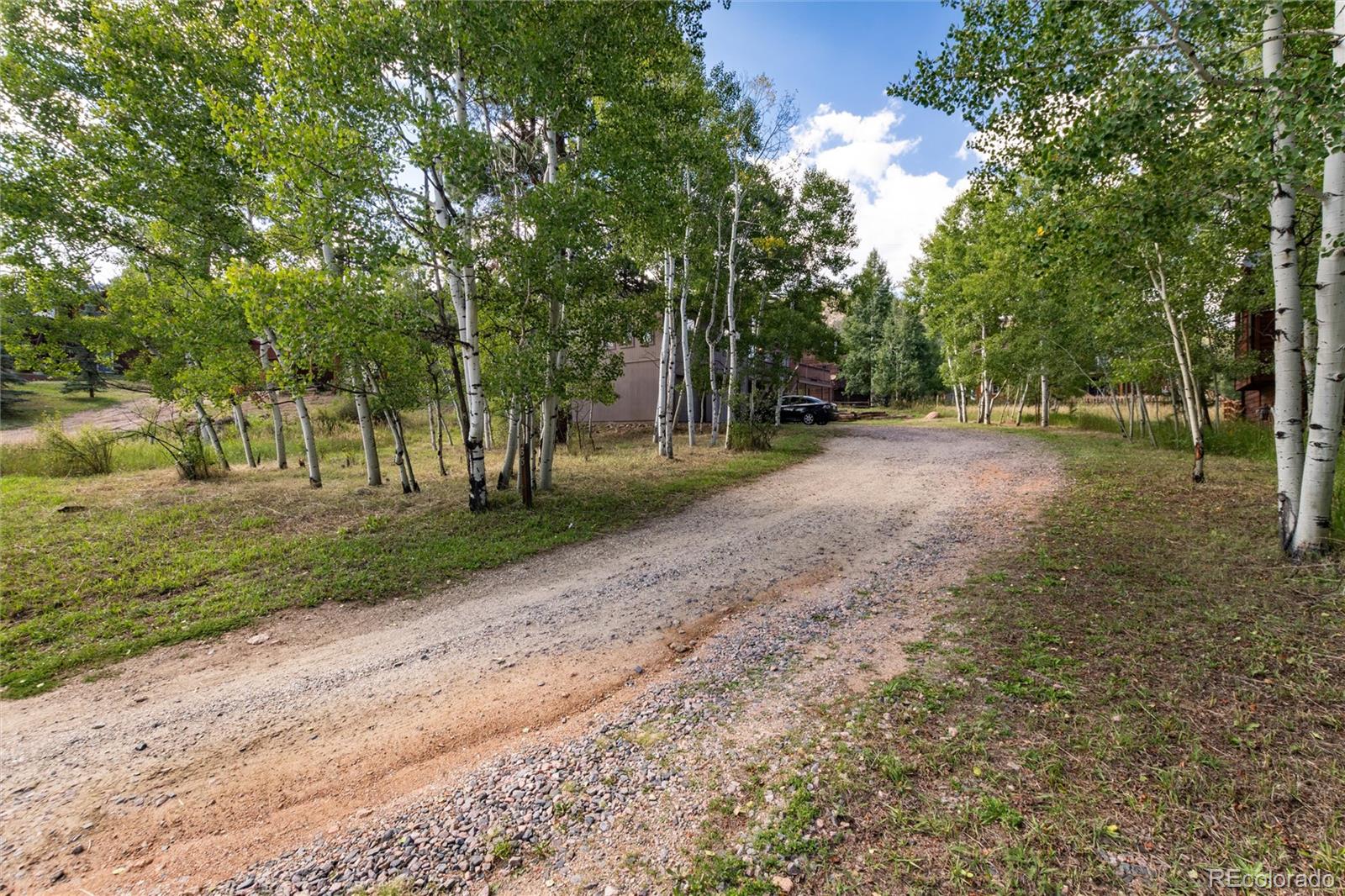 65 Silver Springs Road Bailey CO 80421