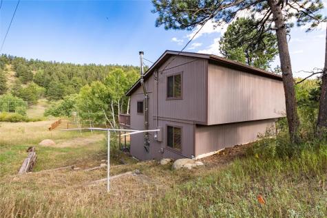 65 Silver Springs Road Bailey CO 80421