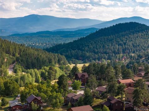 65 Silver Springs Road Bailey CO 80421