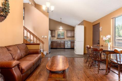 65 Silver Springs Road Bailey CO 80421