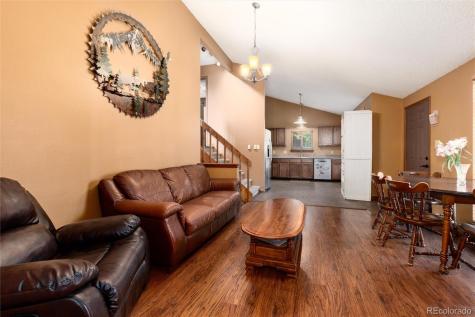 65 Silver Springs Road Bailey CO 80421