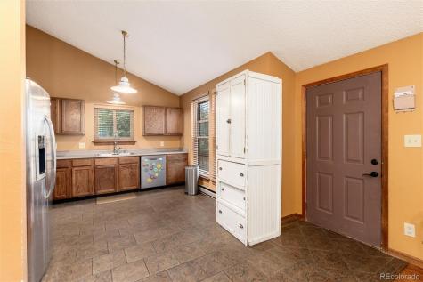 65 Silver Springs Road Bailey CO 80421