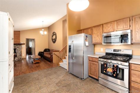 65 Silver Springs Road Bailey CO 80421