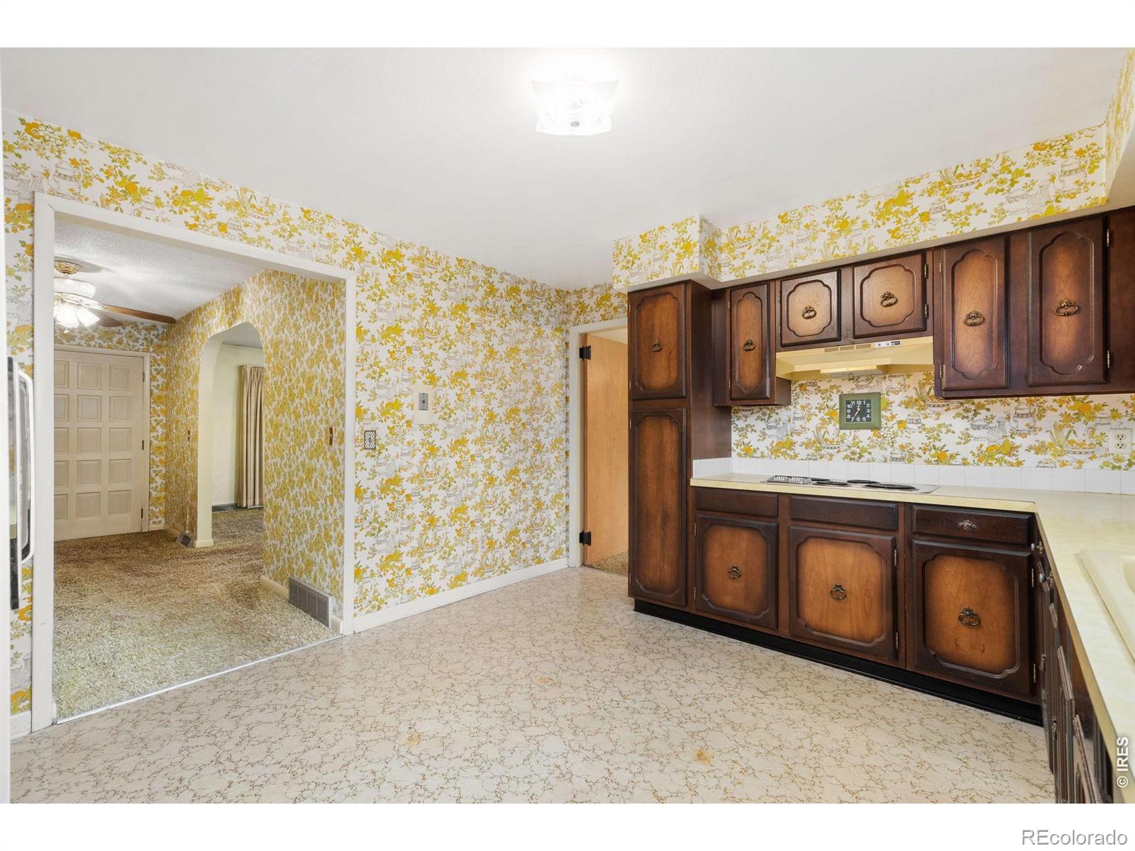 26907 County Road 45 1/2 Greeley CO 80631