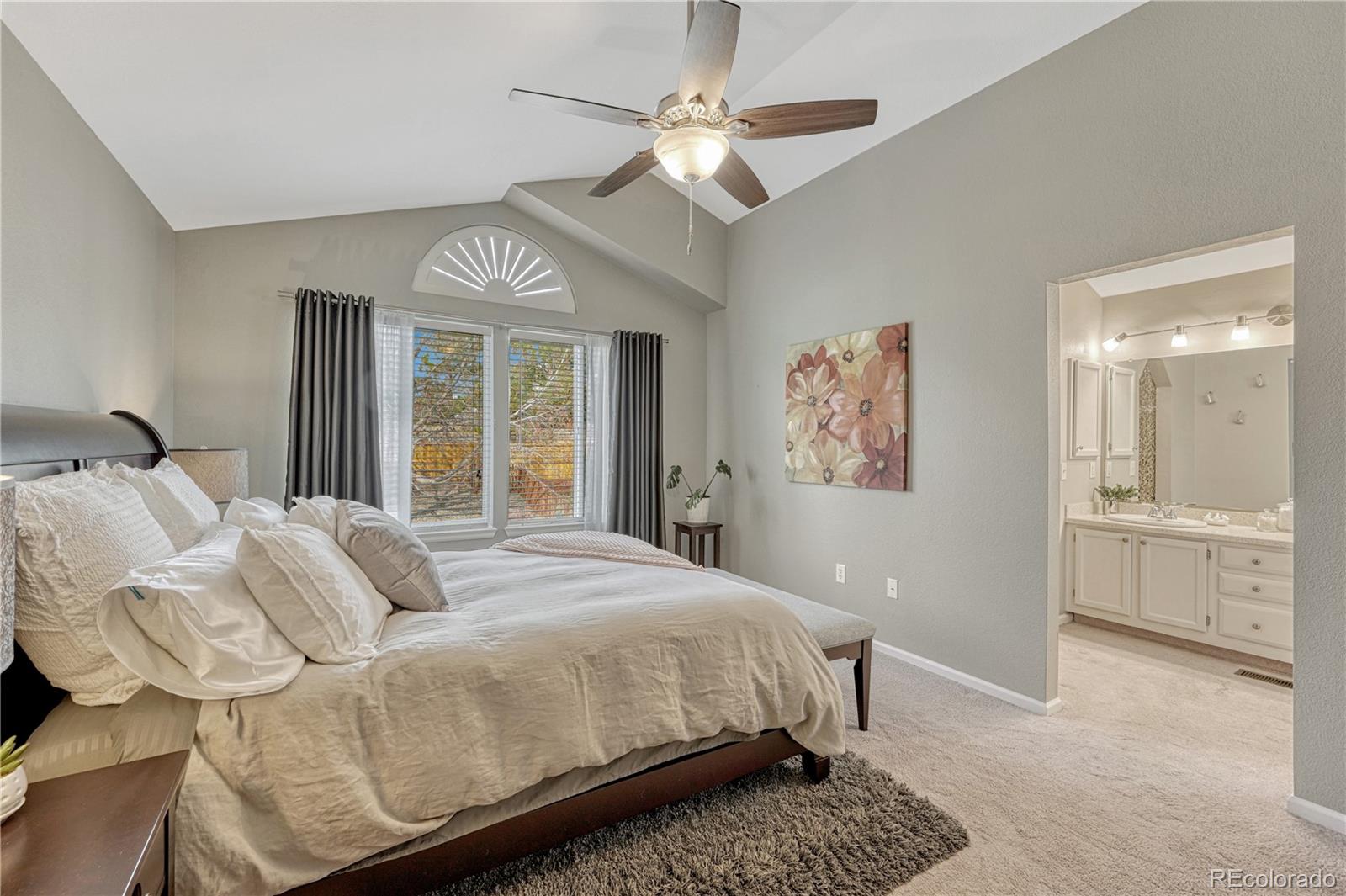 21837 Saddlebrook Court Parker CO 80138