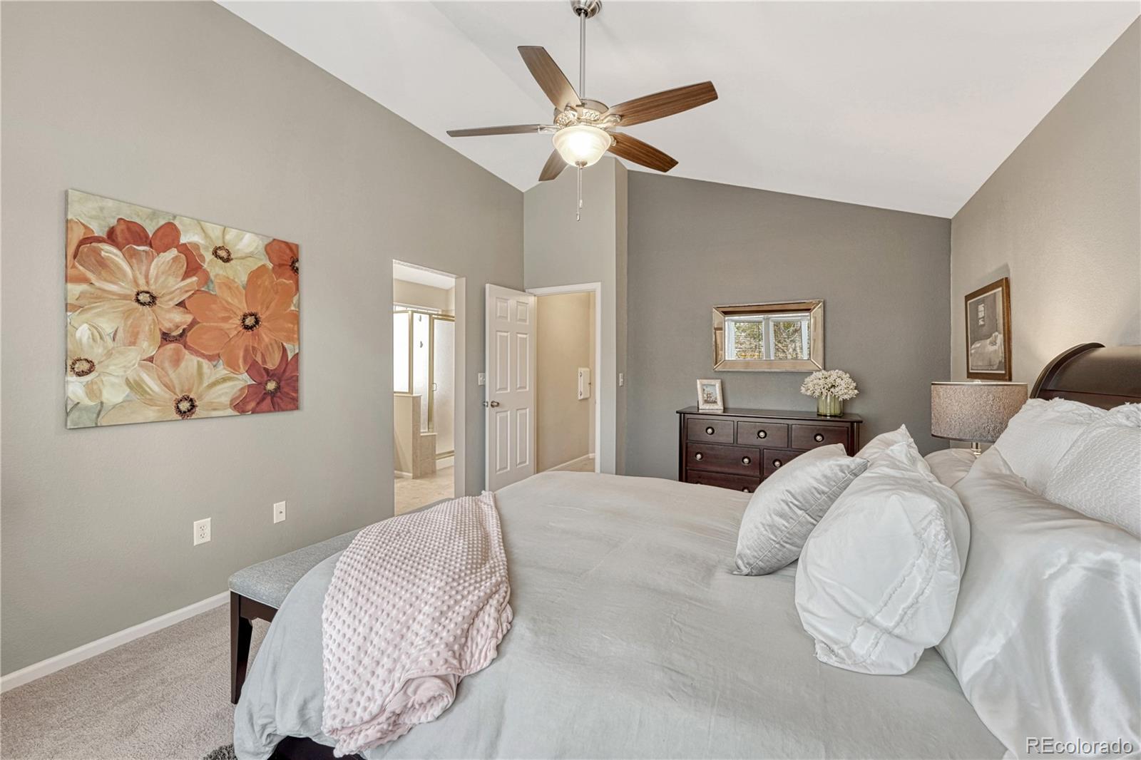 21837 Saddlebrook Court Parker CO 80138