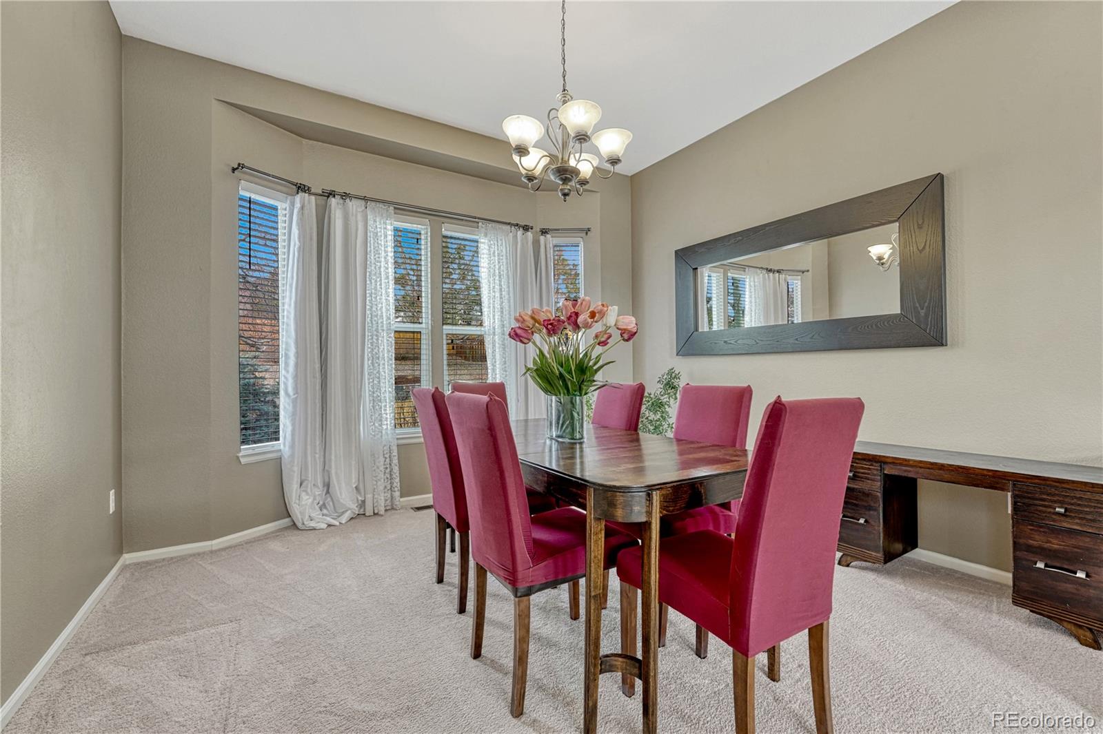 21837 Saddlebrook Court Parker CO 80138