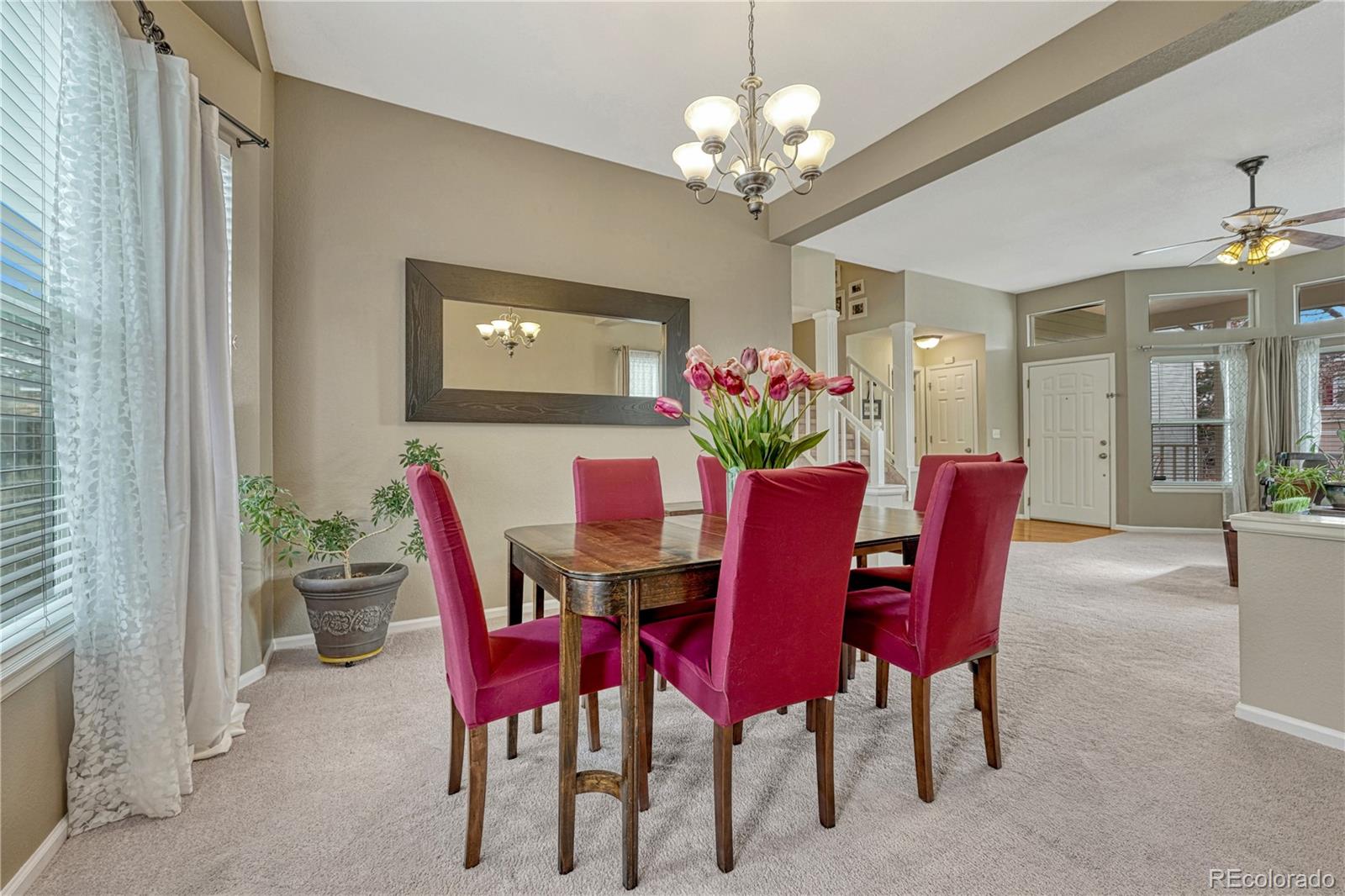 21837 Saddlebrook Court Parker CO 80138