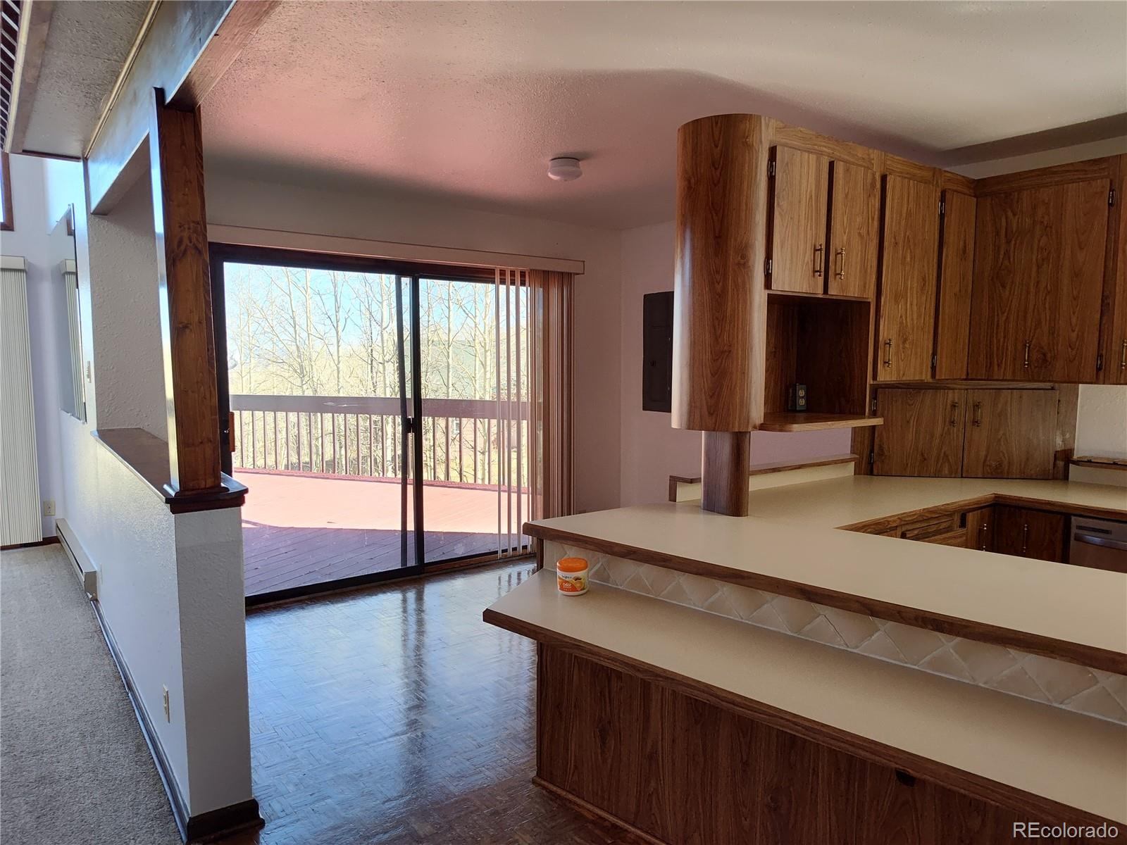 2584 High Creek Road Fairplay CO 80440