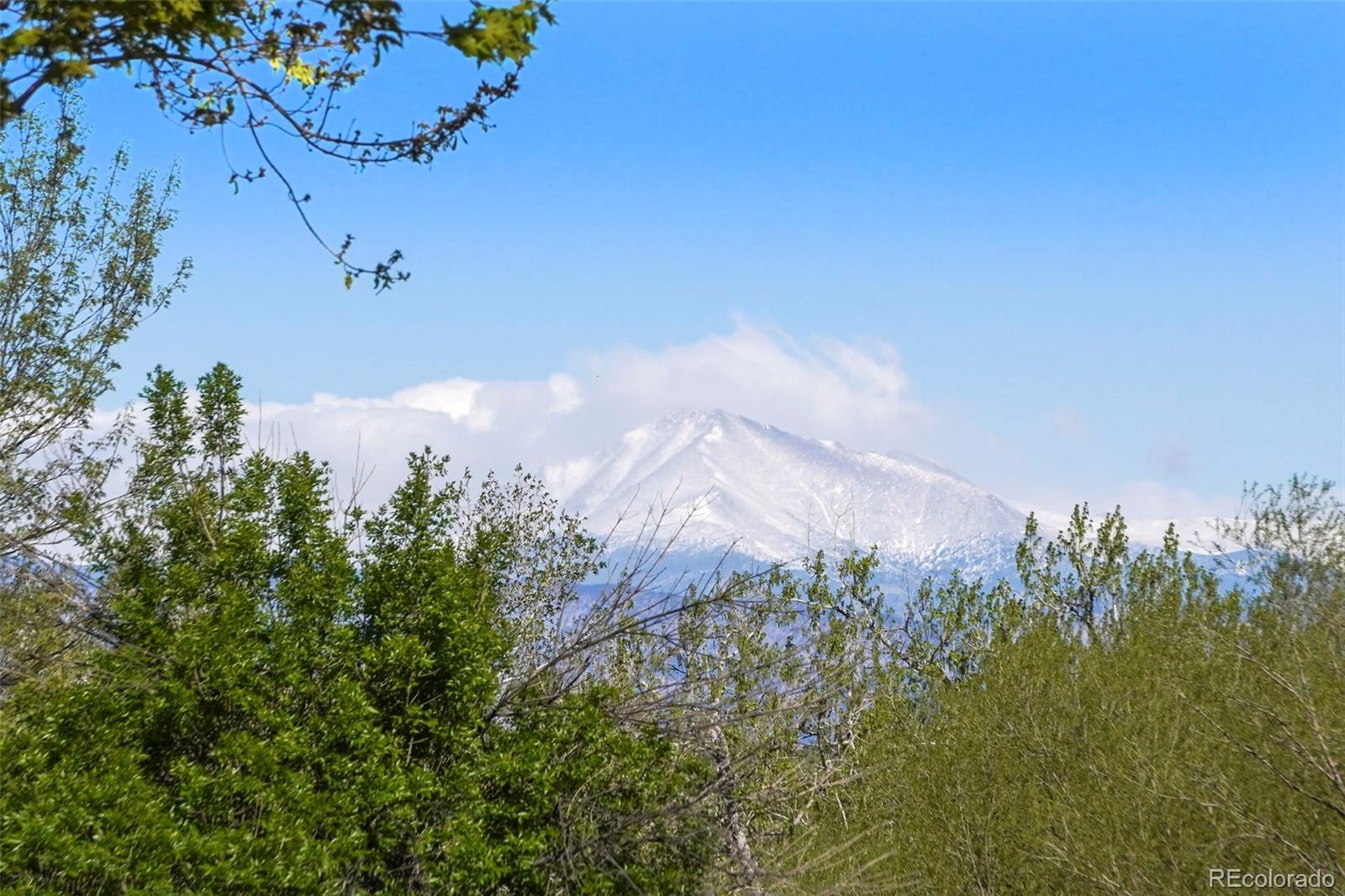 10930 Tennyson Court Westminster CO 80031