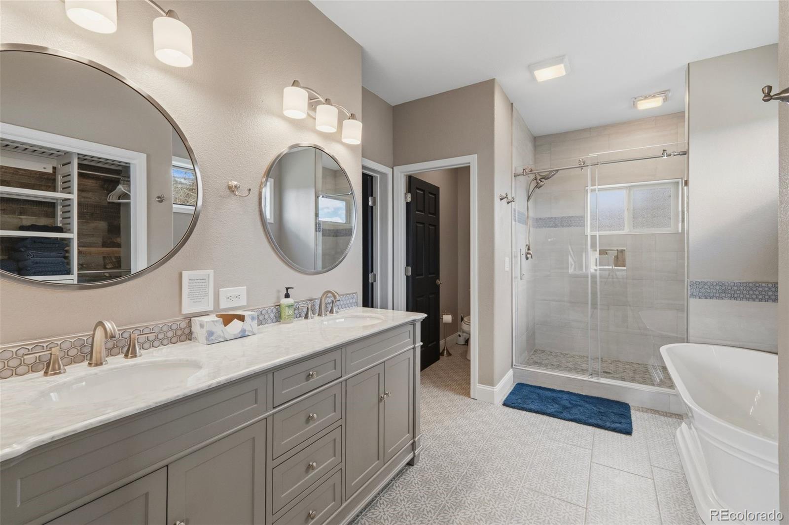 245 E Coyote Court Silverthorne CO 80498