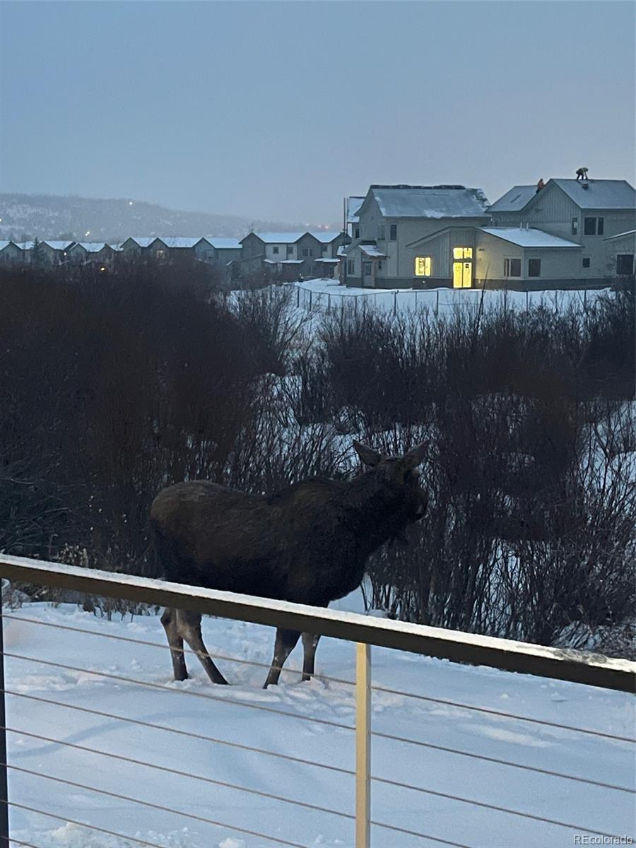 245 E Coyote Court Silverthorne CO 80498