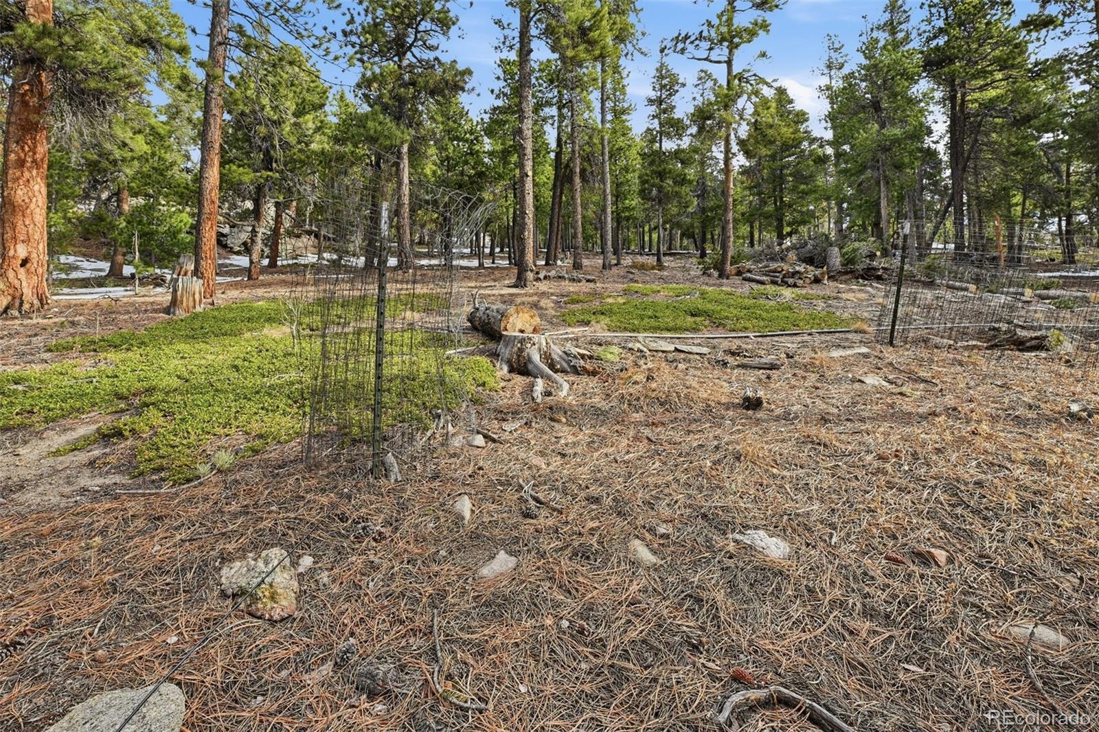34089 Lyttle Dowdle Drive Golden CO 80403