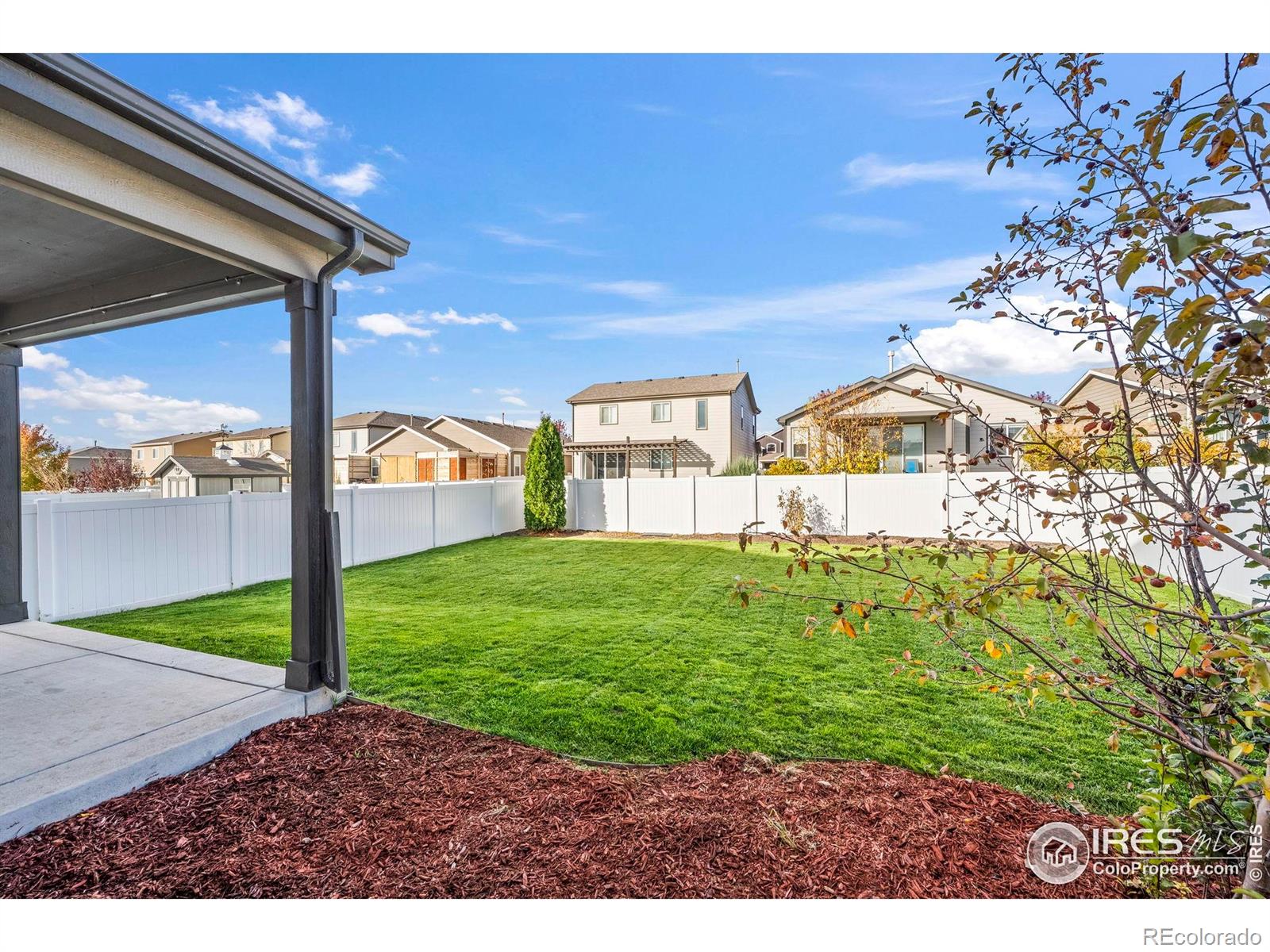 5512 Bexley Drive Windsor CO 80550