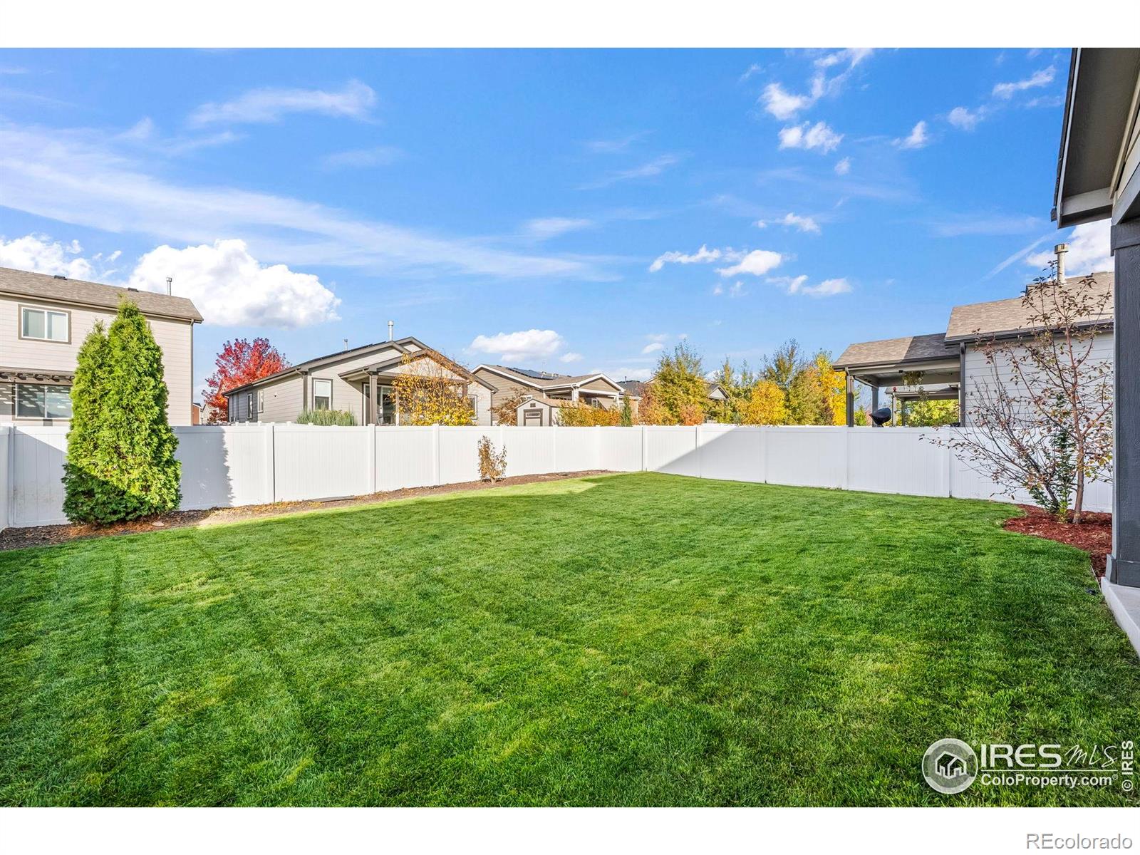 5512 Bexley Drive Windsor CO 80550