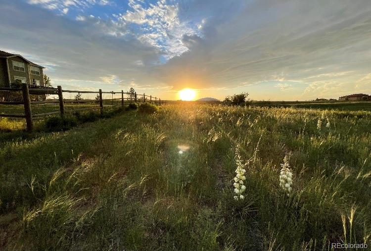 2364 Elkhorn Ranch Street Parker CO 80138