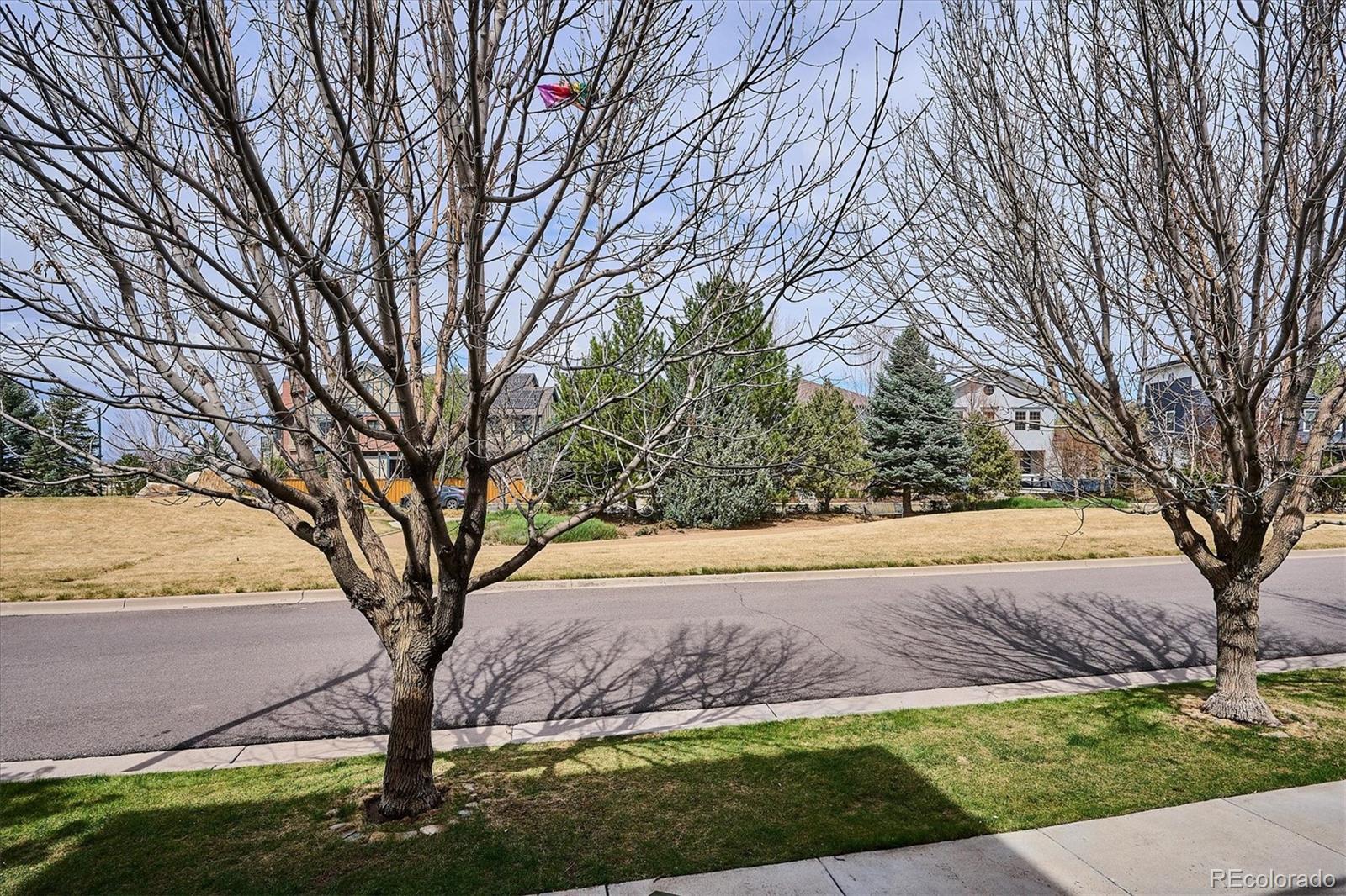 9716 E 34th Avenue Denver CO 80238