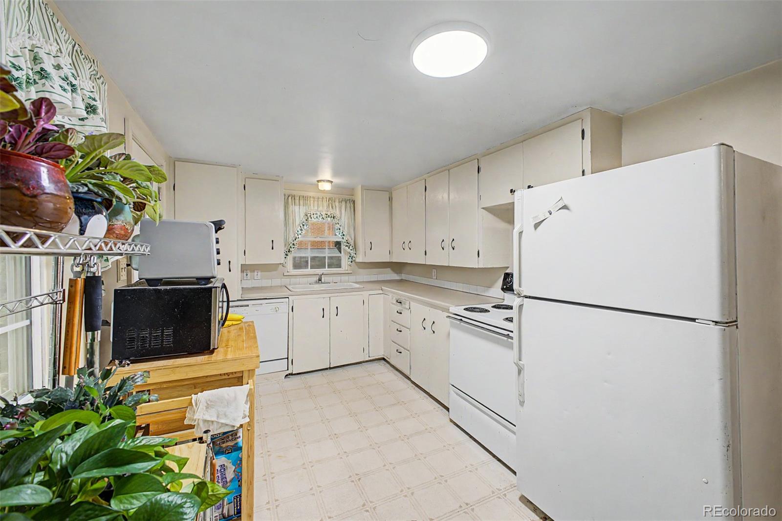 515 Lewis Street Castle Rock CO 80104