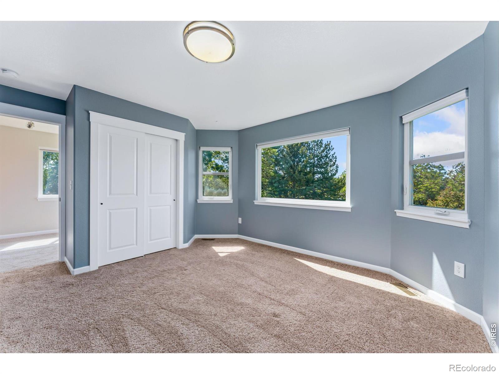 742 Stoddard Drive Fort Collins CO 80526