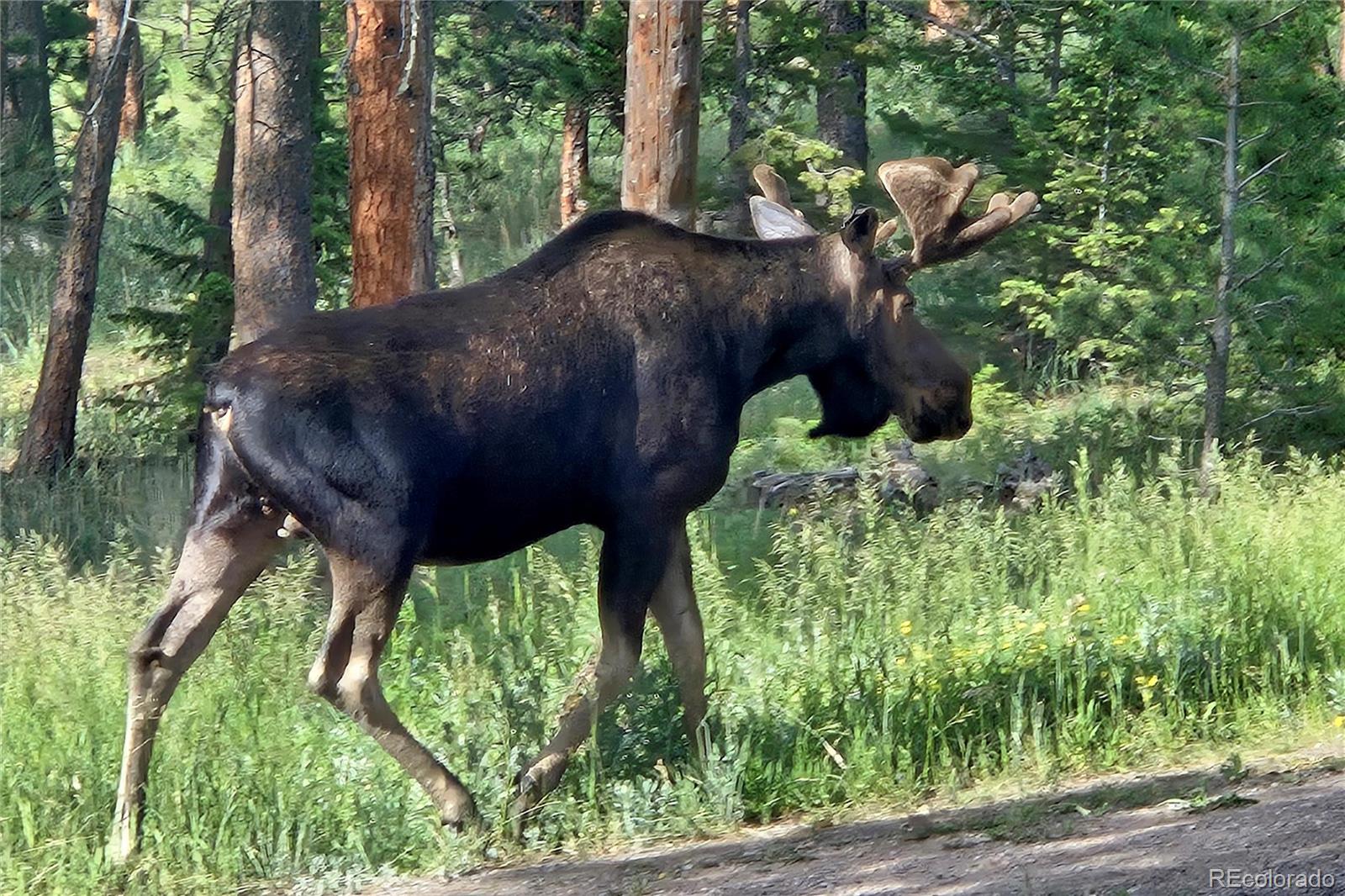 18673 State Highway 7 Lyons CO 80540