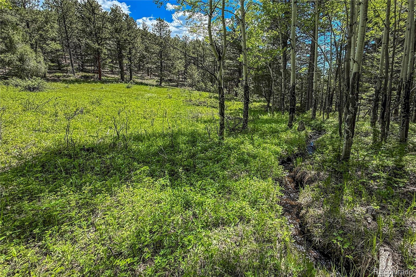 18673 State Highway 7 Lyons CO 80540