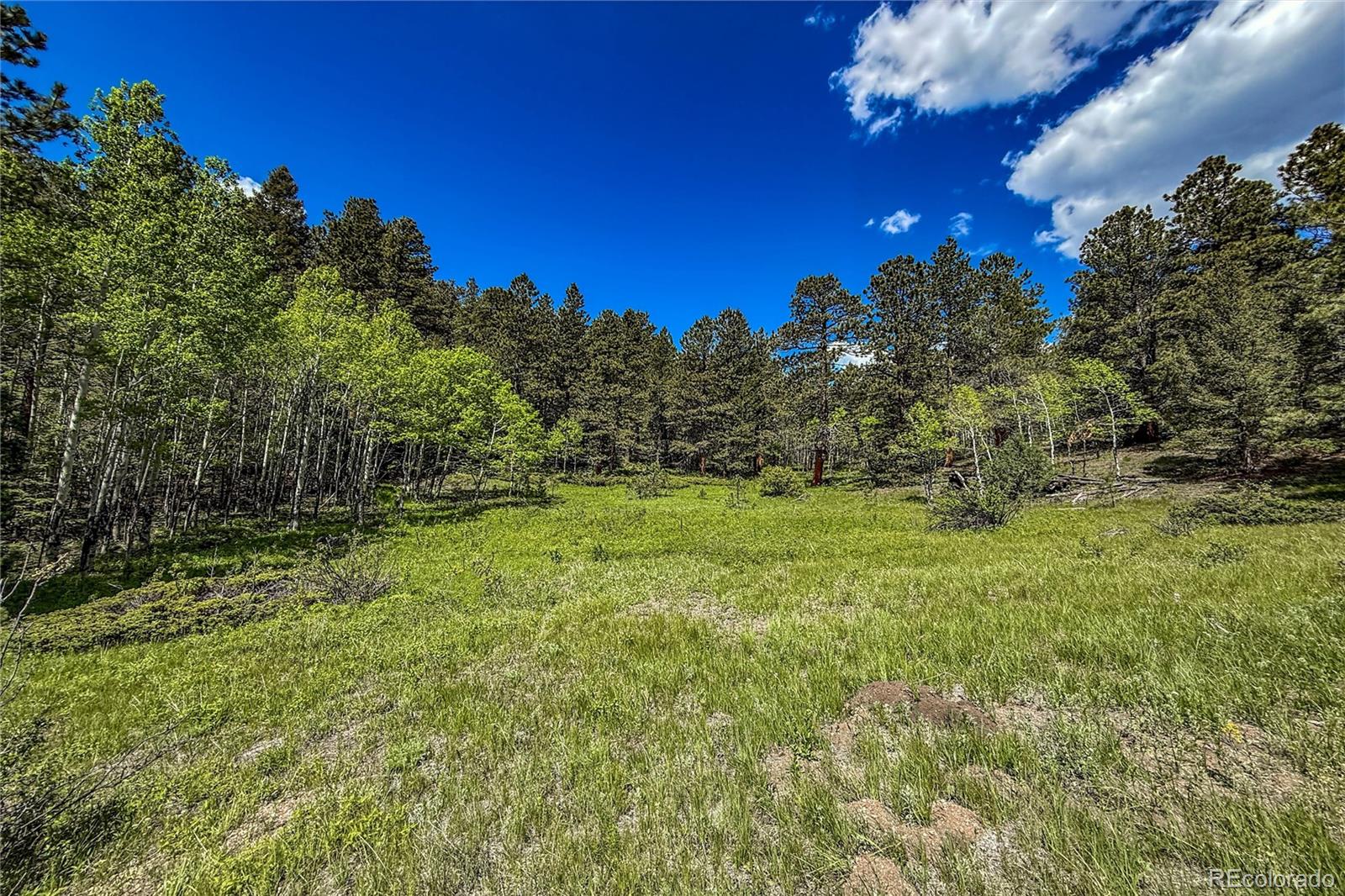 18673 State Highway 7 Lyons CO 80540