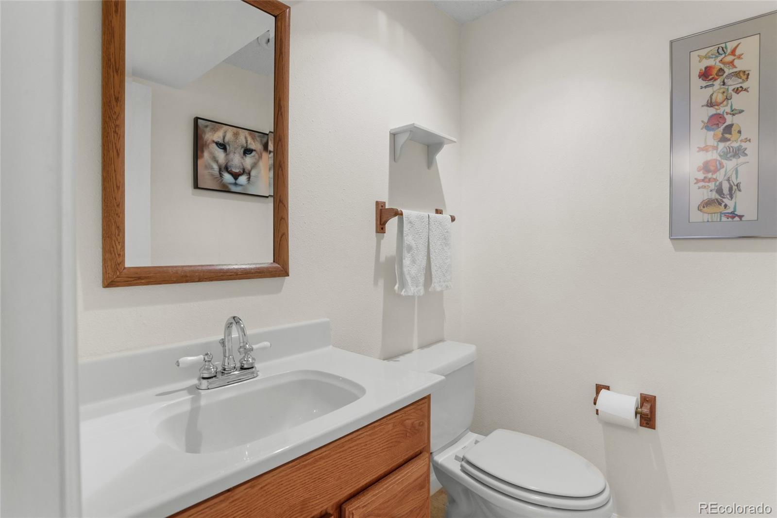 145 Wolf Creek Trail Broomfield CO 80020