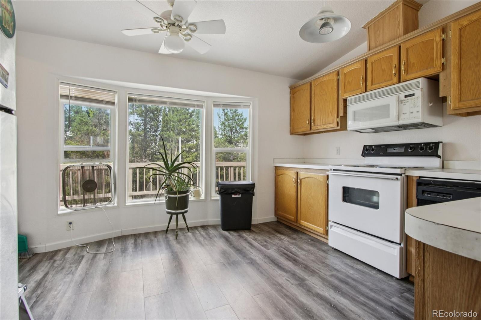 81 Atlantis Drive Black Hawk CO 80422