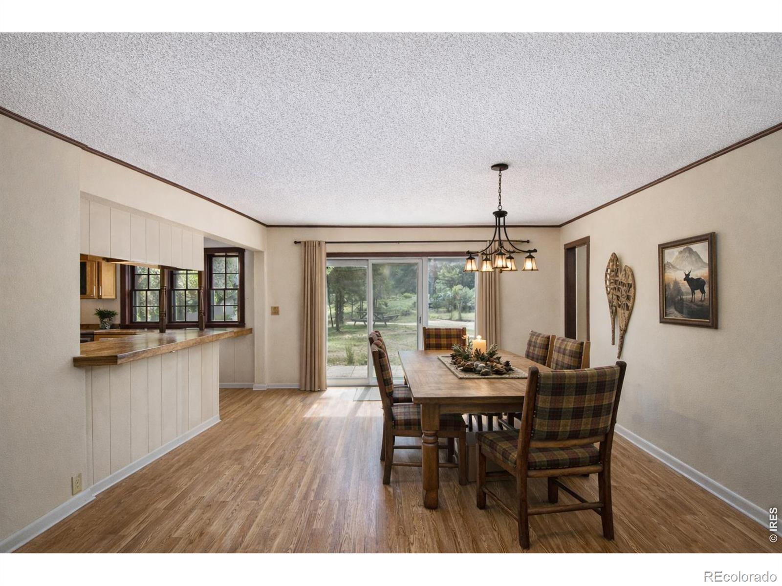 1141 Wallace Lane Estes Park CO 80517