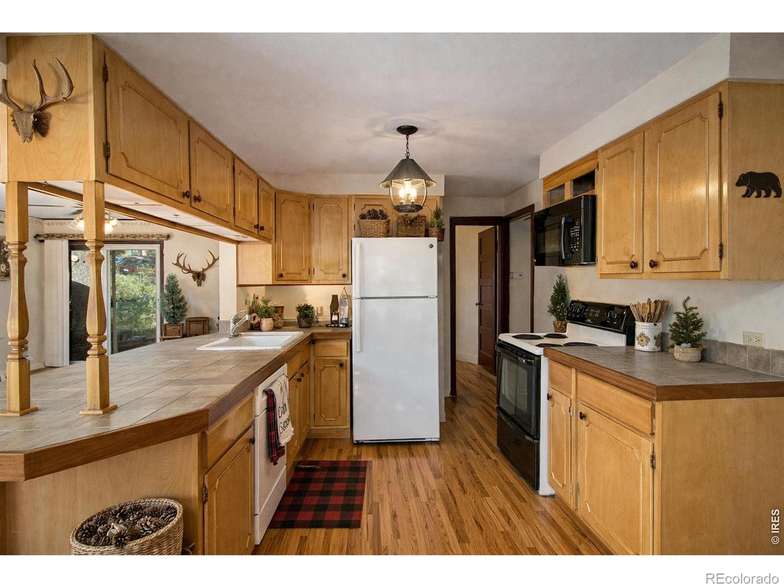 1141 Wallace Lane Estes Park CO 80517