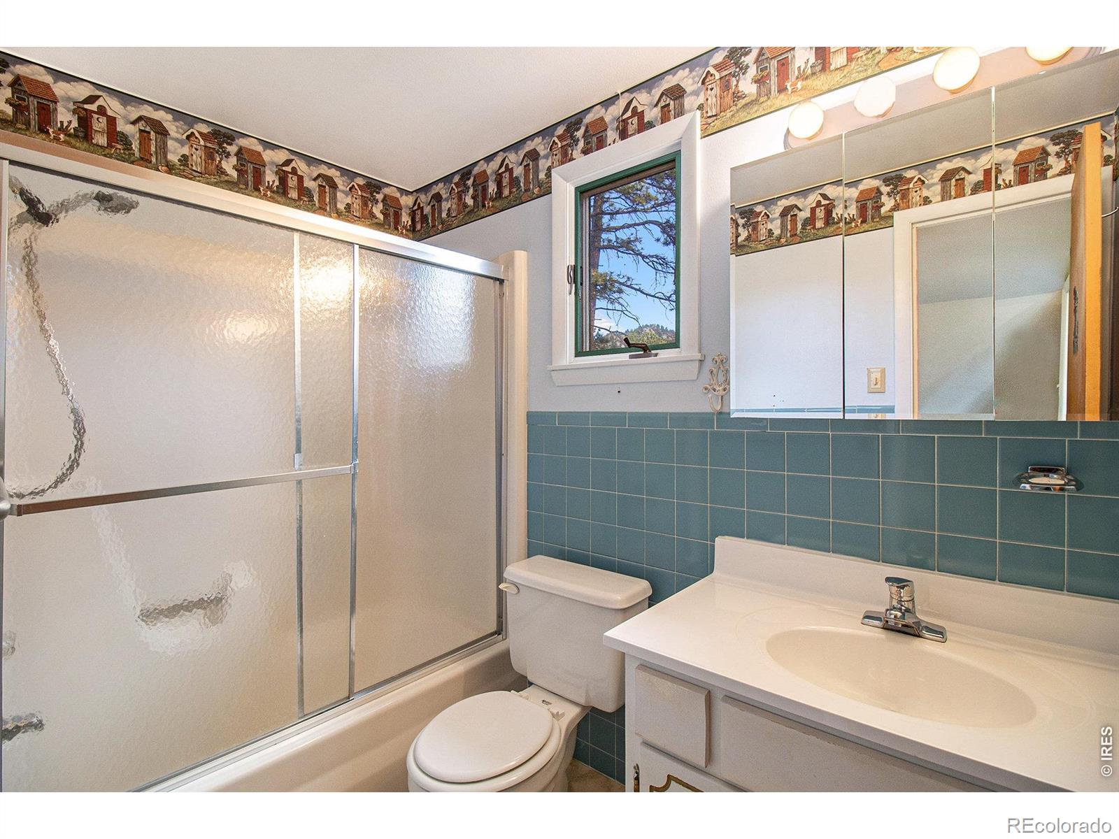 1141 Wallace Lane Estes Park CO 80517