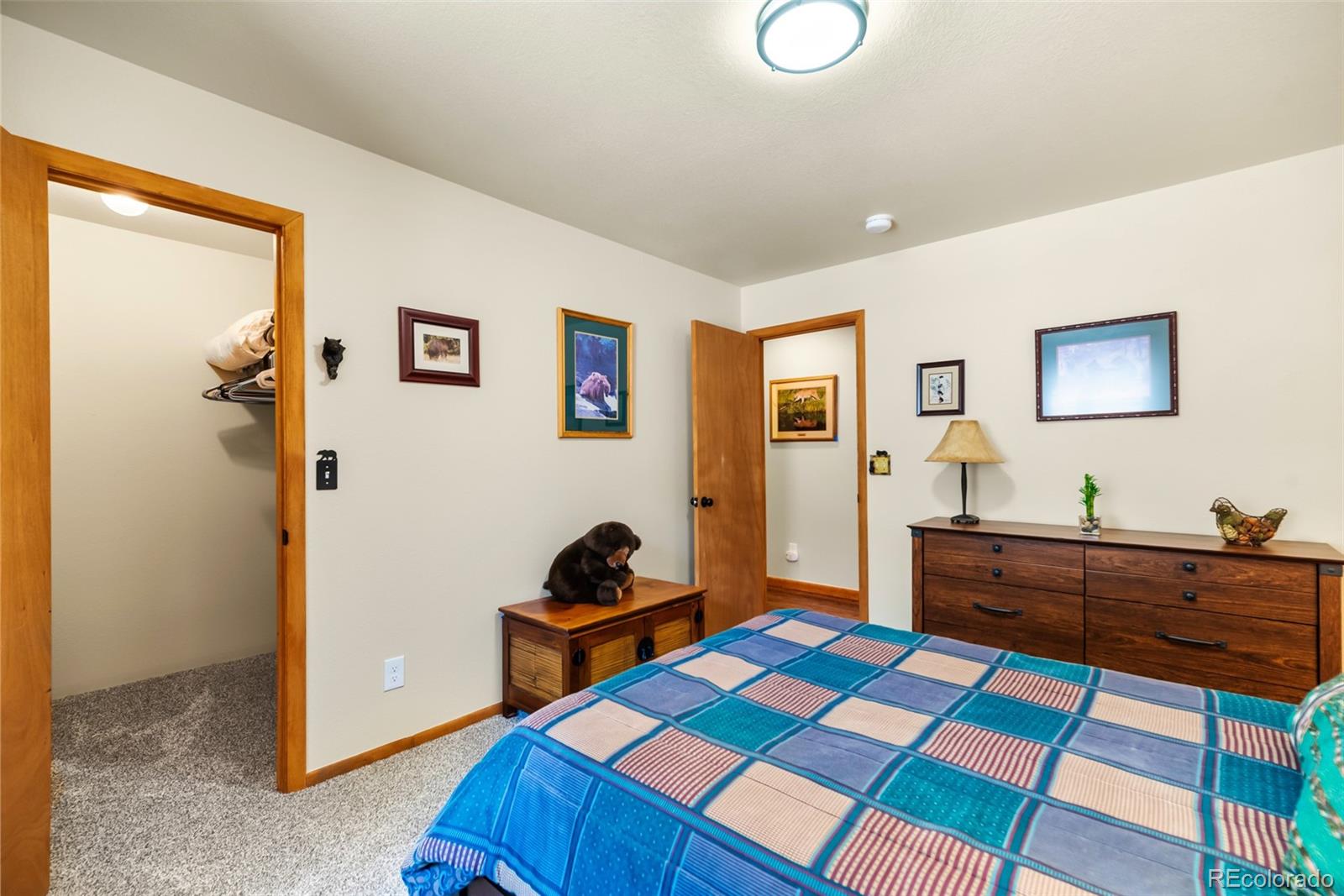 4091 Singletree Road Hartsel CO 80449