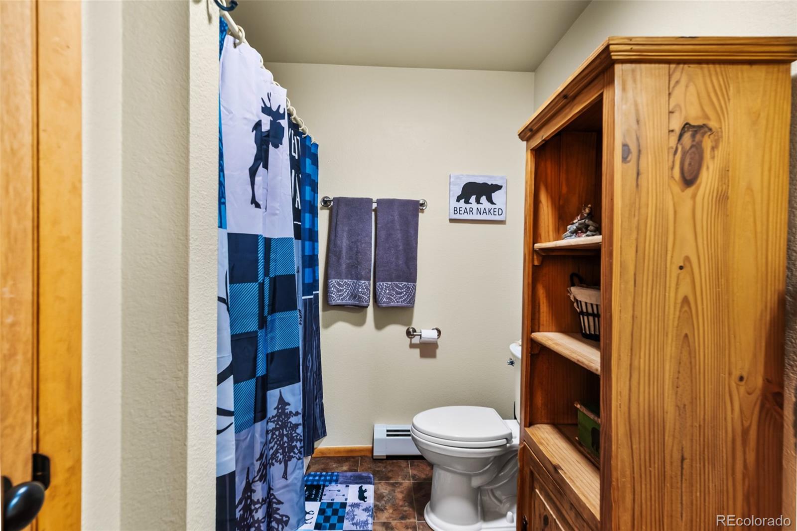 4091 Singletree Road Hartsel CO 80449