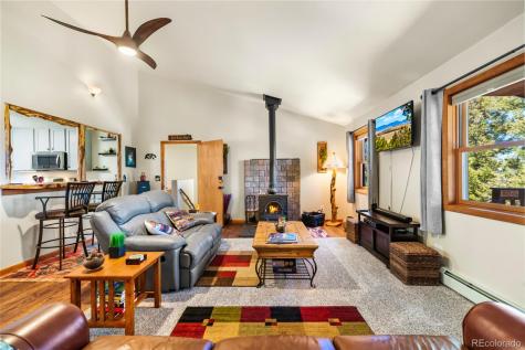 4091 Singletree Road Hartsel CO 80449