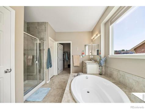 216 Siesta Key Drive Windsor CO 80550