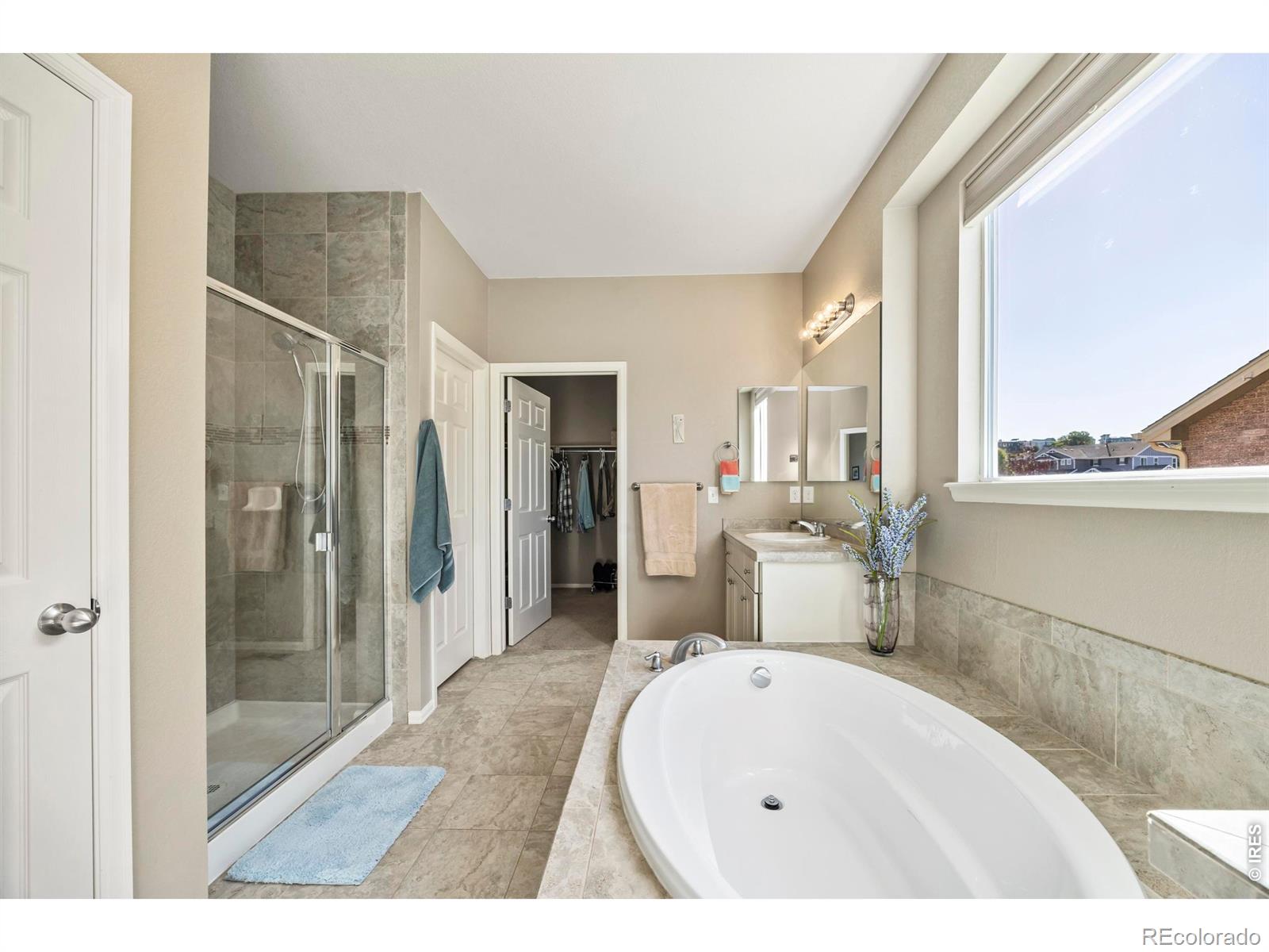 216 Siesta Key Drive Windsor CO 80550