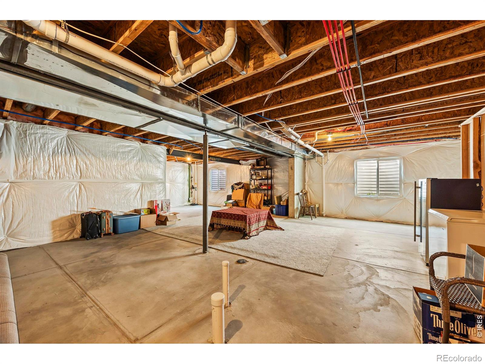 216 Siesta Key Drive Windsor CO 80550
