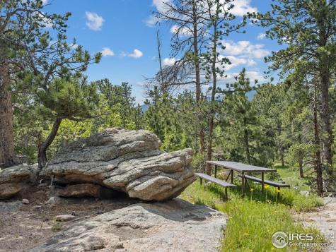 84 County Road 113 N Allenspark CO 80510