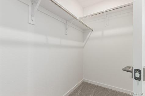 10771 Spalding View Colorado Springs CO 80908