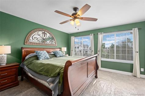 4526 Addenbrooke Loop Castle Rock CO 80109