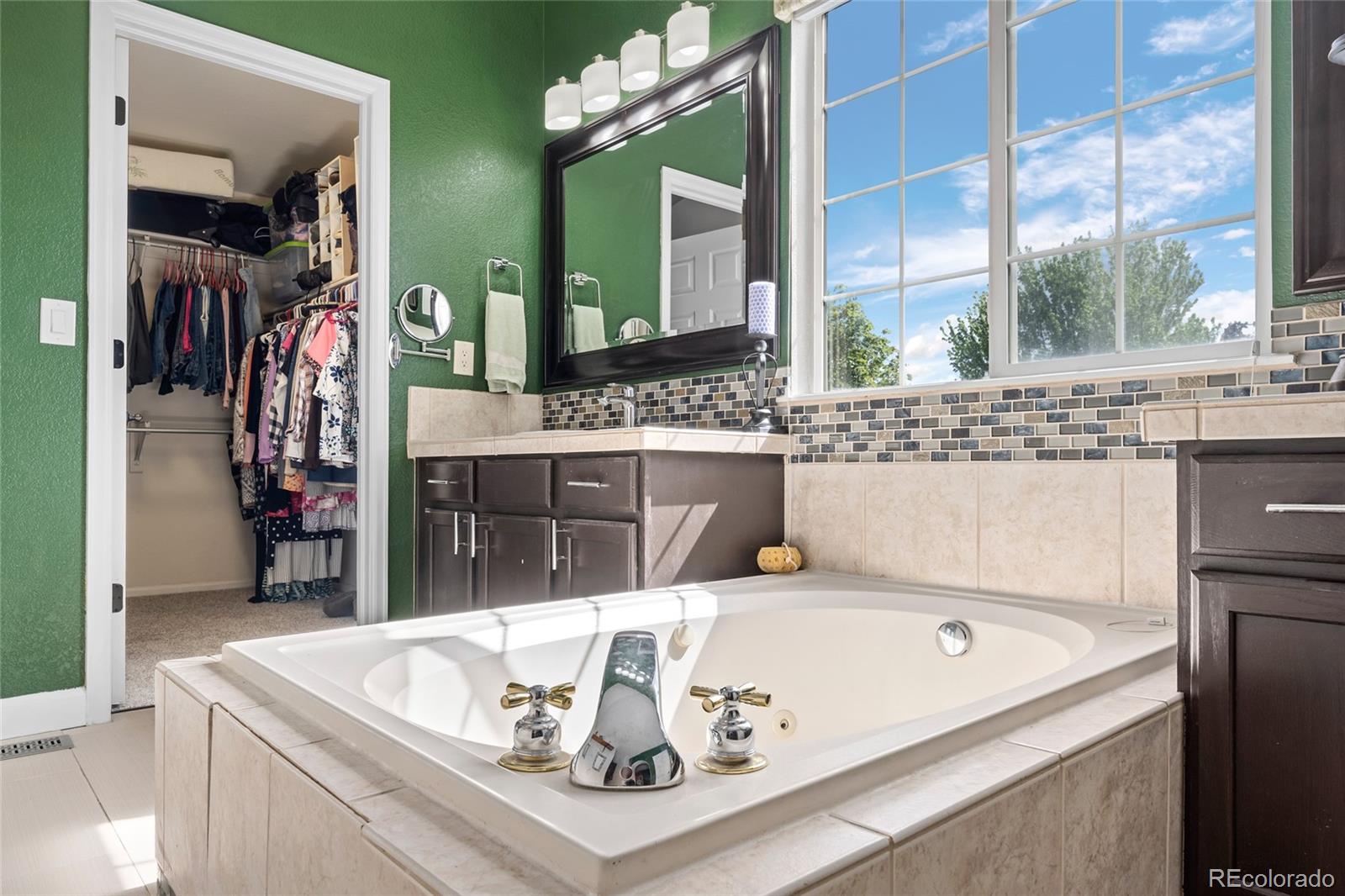 4526 Addenbrooke Loop Castle Rock CO 80109