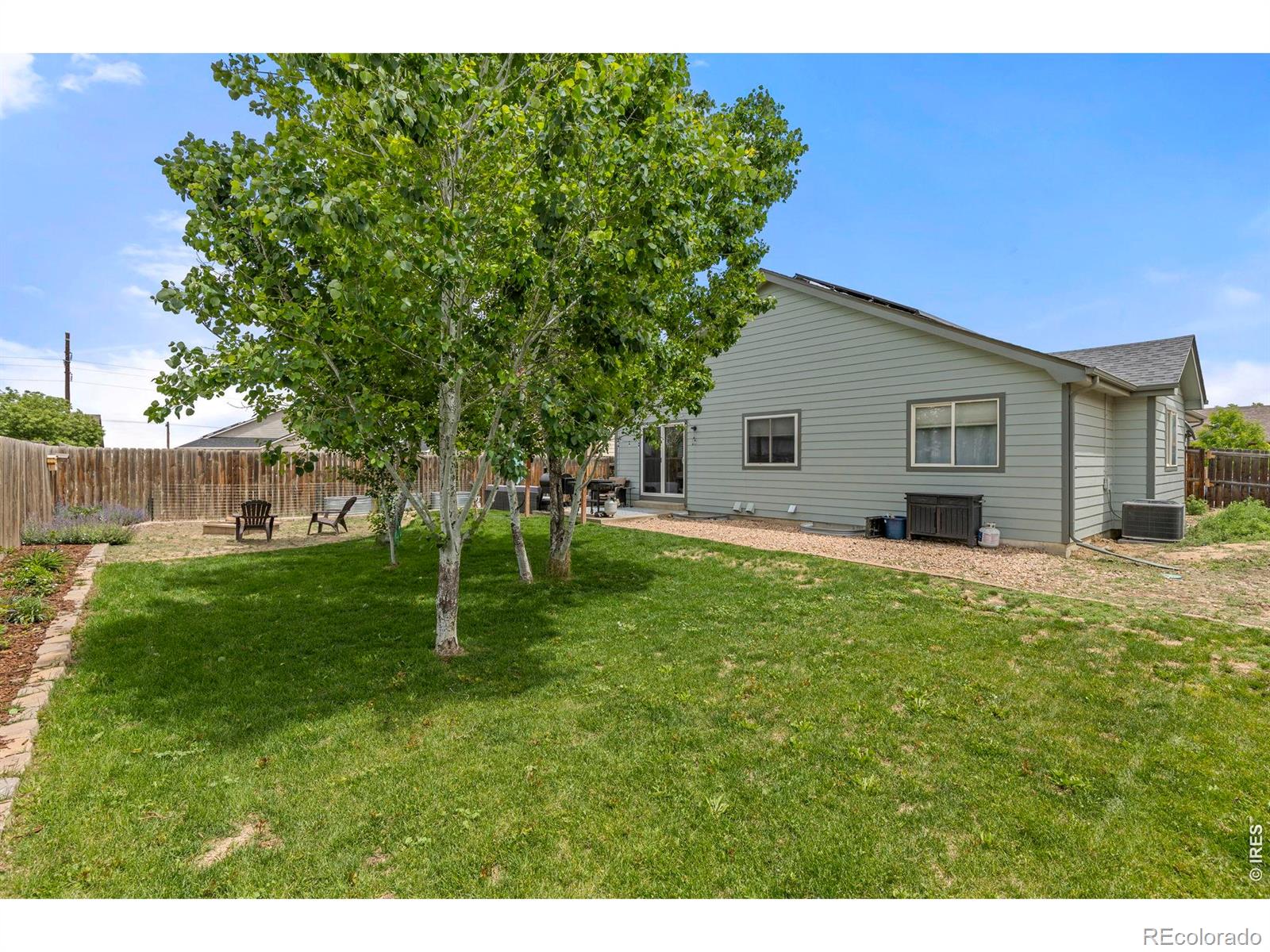 1303 S Harvester Drive Milliken CO 80543
