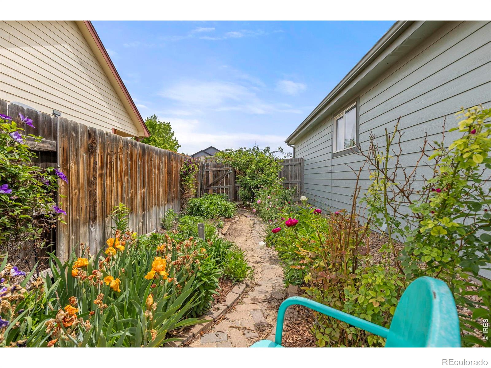 1303 S Harvester Drive Milliken CO 80543