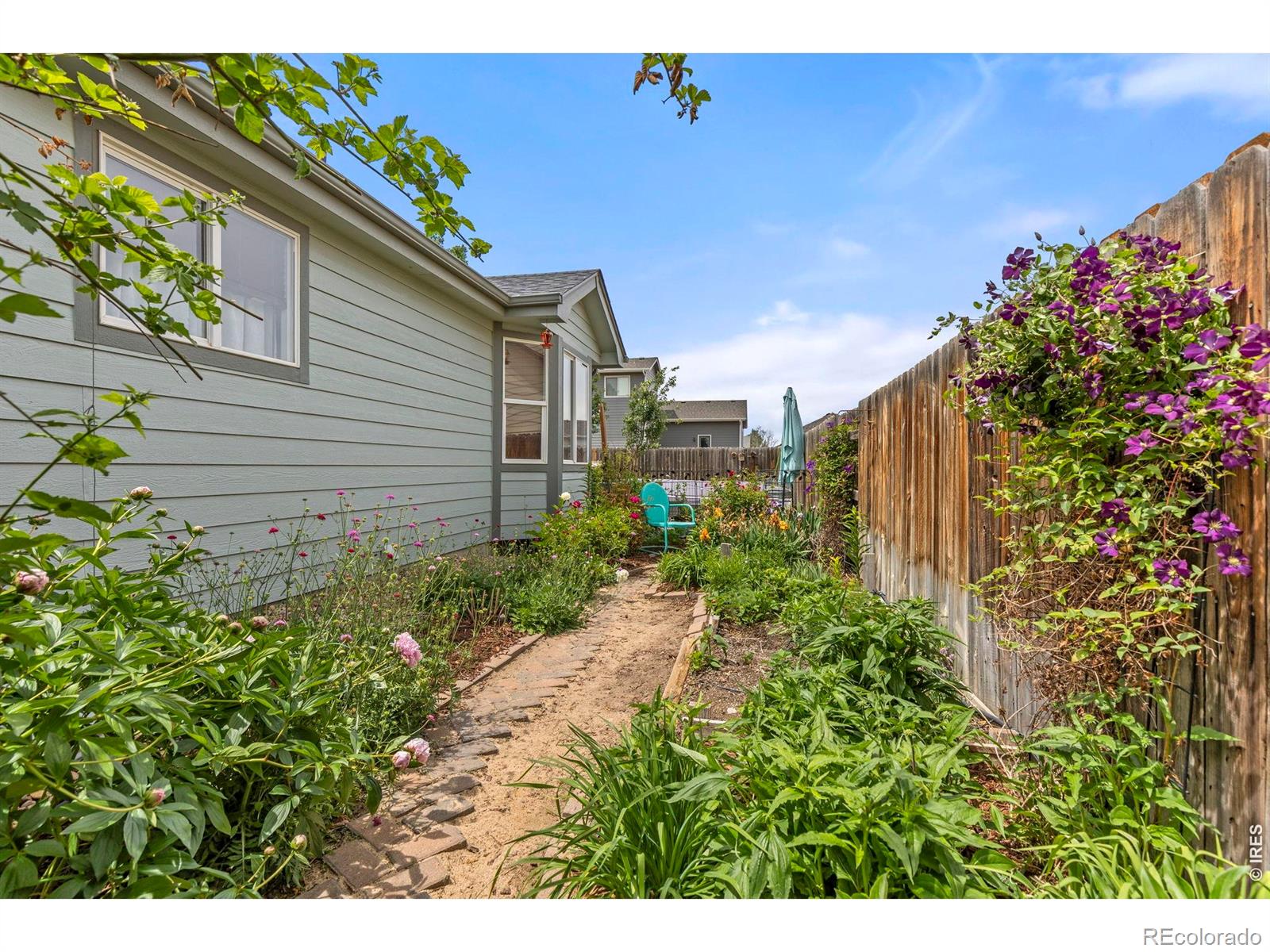 1303 S Harvester Drive Milliken CO 80543