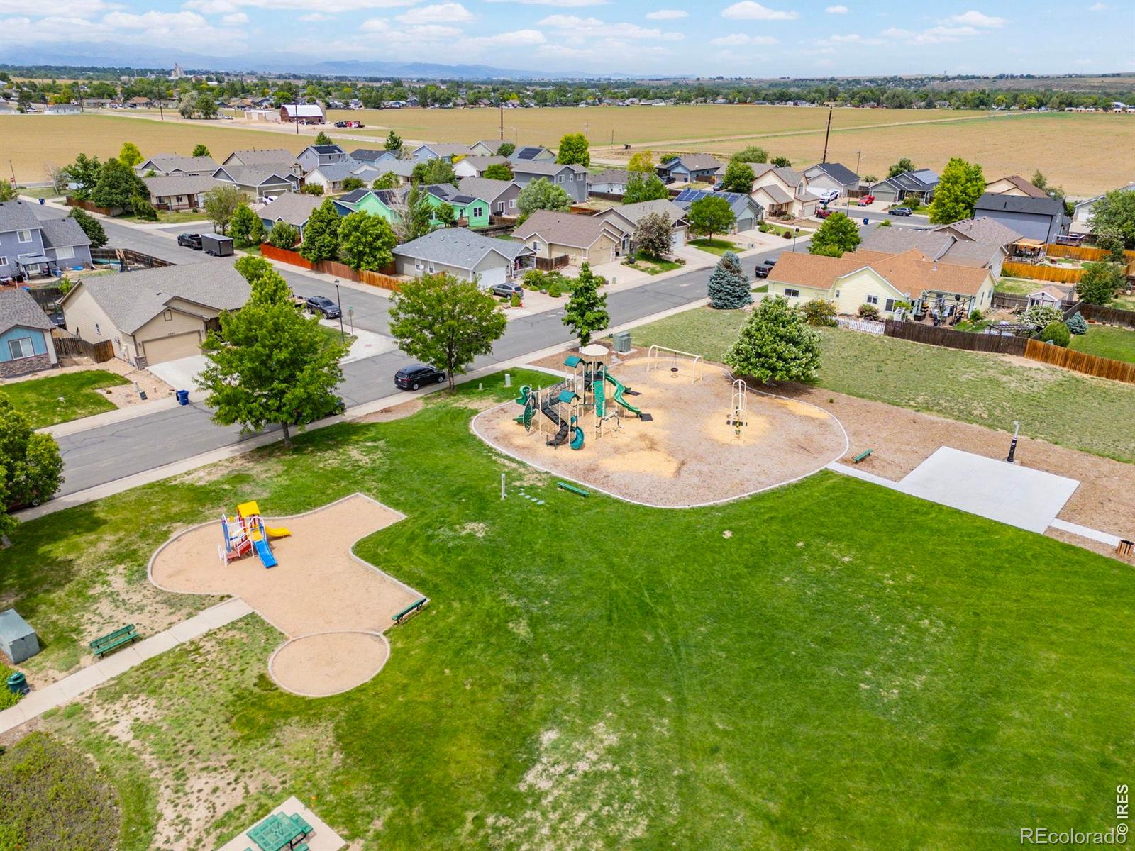 1303 S Harvester Drive Milliken CO 80543