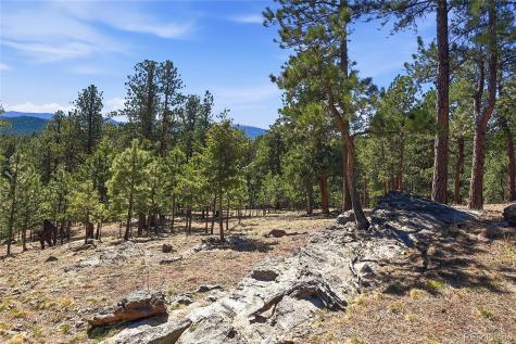 226 Bear Drive Evergreen CO 80439