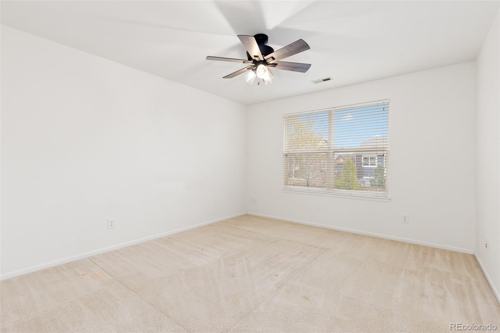 218 Ardmore Street Castle Rock CO 80104