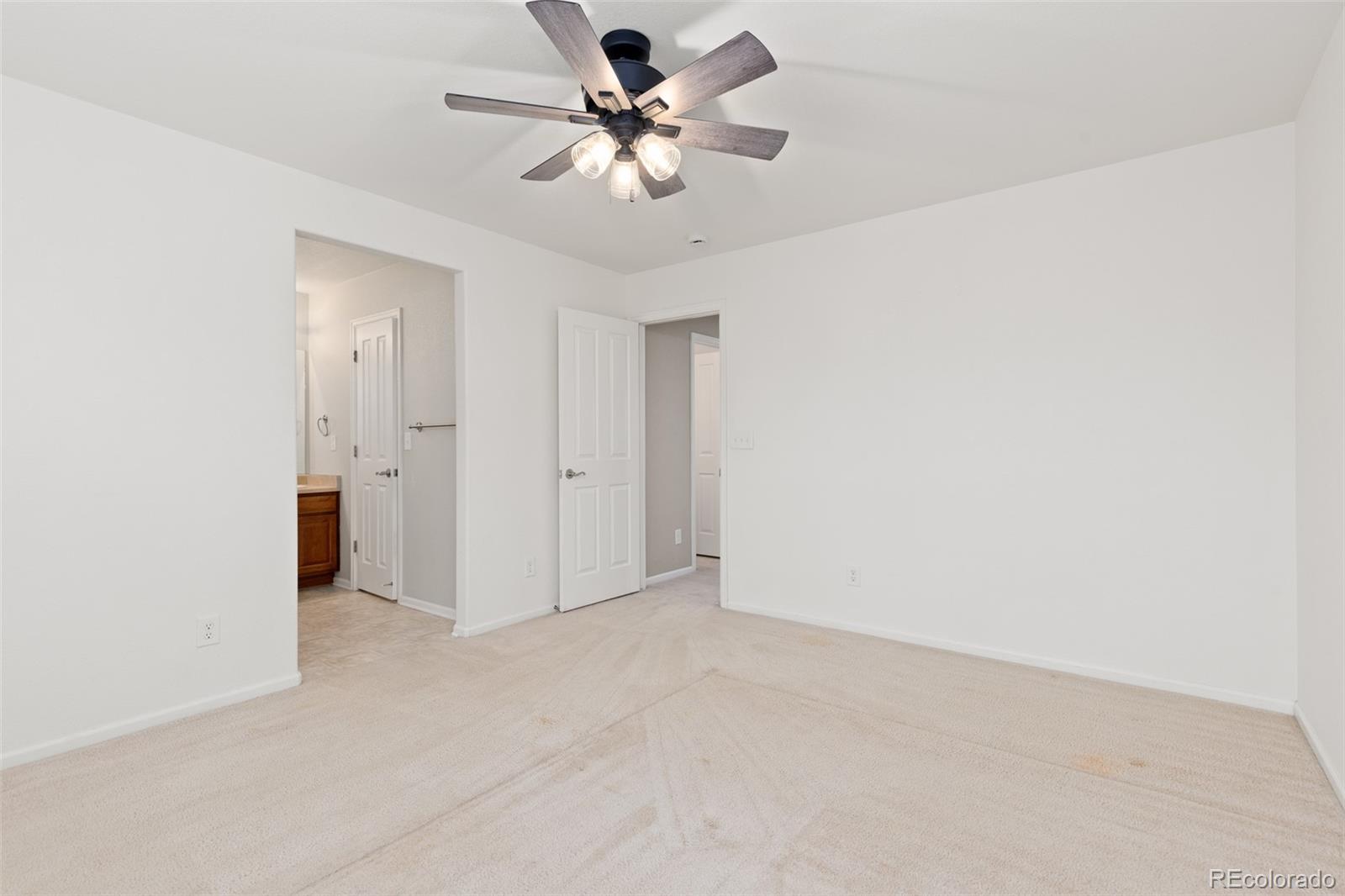 218 Ardmore Street Castle Rock CO 80104
